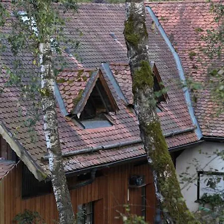 Apartamento Heimerlmühle Neunburg vorm Wald