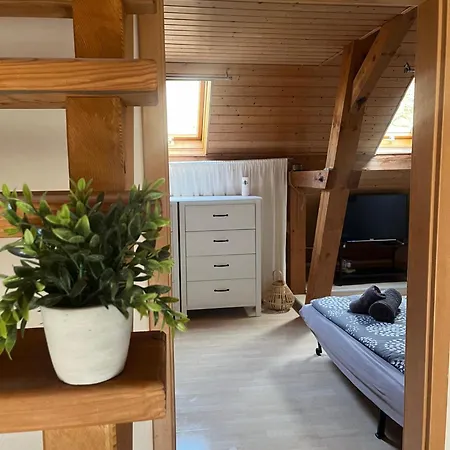 Apartmán Heimerlmuehle