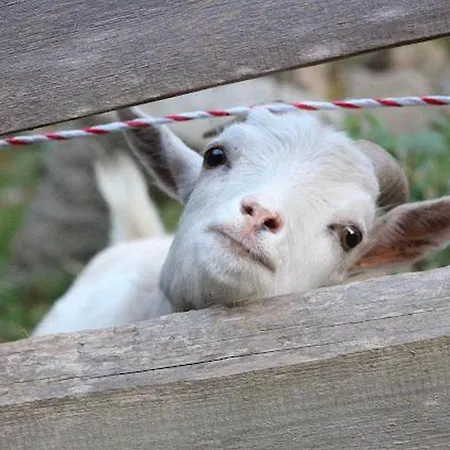 Heimerlmuehle * Neunburg vorm Wald